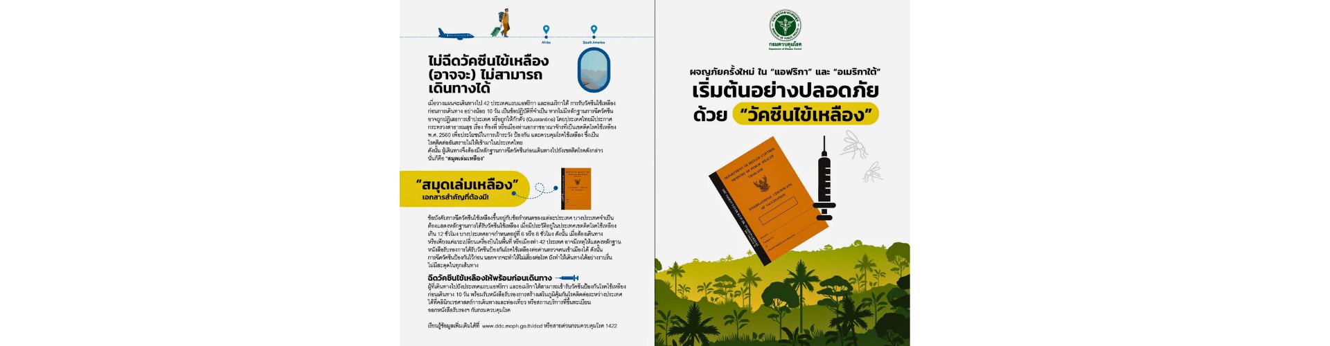 ไข้เหลือง01
