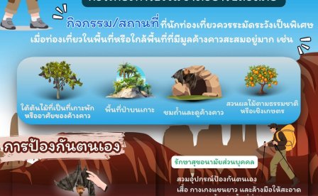 โรคติดเชื้อไวรัสนิปาห์:คำแนะนำสำหรับนักท่องเที่ยวทางธรรมชาติ